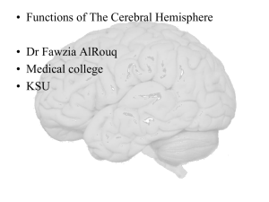 L21-cerebral hemisphere functions 20142014-11