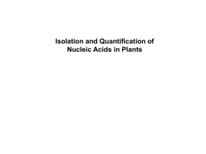 Nucleic Acid Isolation