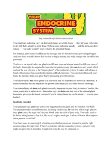 How to Take Care of the Endocrine System - AdVENTUREScience-7th