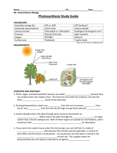 6B. Photosynthesis Summary Worksheet