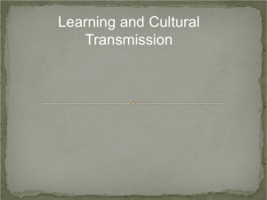 Learning and Cultural Transmission