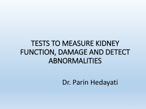 tests to measure kidney function, damage and detect abnormalities