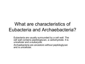 What are characteristics of Eubacteria and Archaebacteria?