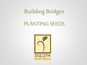 Building Bridges, Planting Seeds