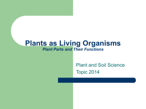 Plants as Living Organisms Plant Parts and Their Functions