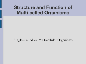 Structure and Function of Multi