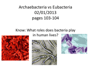 Archaebacteria vs Eubacteria 02/14/11 pages 83-84