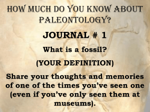 Paleontology Notes