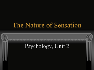 The Nature of Sensation