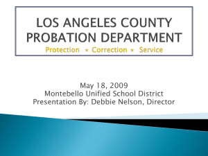 LOS ANGELES COUNTY PROBATION DEPARTMENT Protection