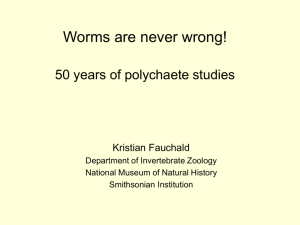 50 years of worms