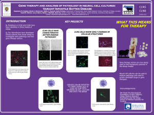 Gene therapy and analysis of pathology in neural cell cultures