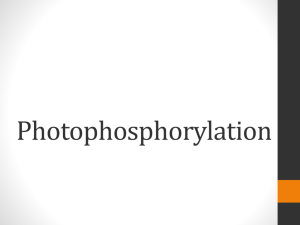 Photophosphorylation