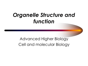 Organelle Structure and function