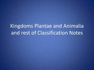 Kingdoms Plantae and Animalia and rest of Classification Notes