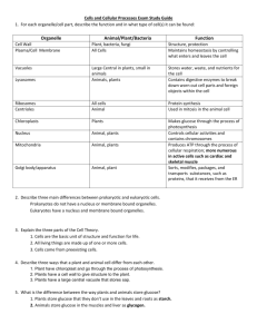 Cells and Cellular Processes Exam Study Guide 1. For each
