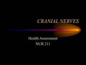 CRANIAL NERVES