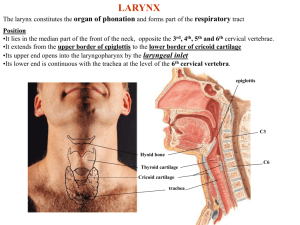 almaarefa Larynx