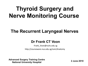 The Recurrent Laryngeal Nerves