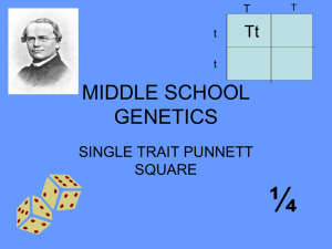 MIDDLE SCHOOL GENETICS