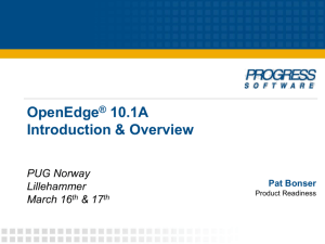 OpenEdge 10.1A Overview FCS