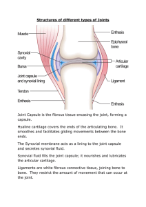 Structures of different types of Joints