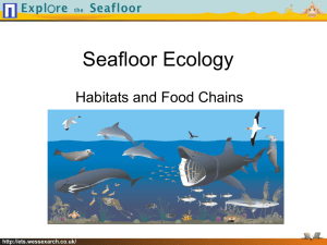 KS3 Seafloor Ecology PowerPoint Presentation