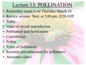 Lecture 13: POLLINATION