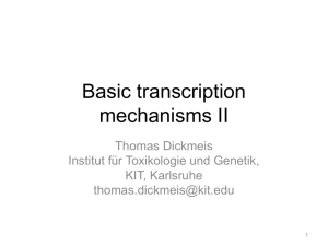 Transcription - ITG