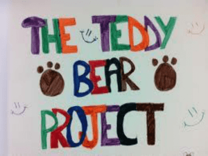 teddy-bear-project