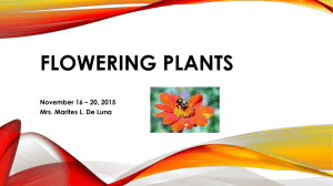 FLOWERING PLANTS - Mrs. Tes de Luna's Science Class