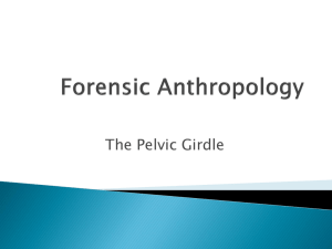 Forensic Anthropology 9/14/07