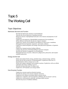 5 Topic 5 The Working Cell Topic Objectives Membrane Structure