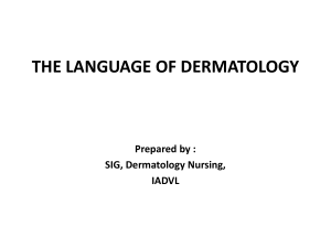 The-Language-of-Dermatology