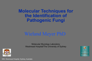 Molecular techniques for the identification of pathogenic fungi