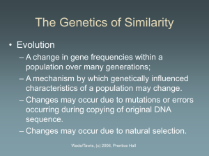 Chapter 3: The Genetics of Similarity (Professor Powerpoint)