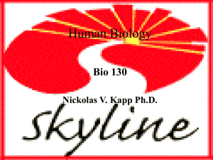 Lecture on Human Biology and general background