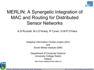 MERLIN: A Synergetic Integration of MAC and Routing for