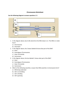 11-7-12 Chromosome Worksheet