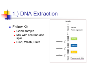 Chapter 3 pt4: Recombinant DNA Technology