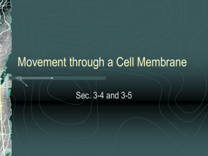 Movement through Cell Membranes
