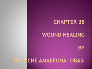 Chapter 3b WOUND HEALING By Dr. Uche Amaefuna