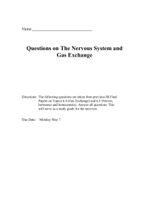 Questions on Nervous System and Gas Xchange