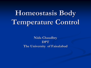 body temp homeostasis-2