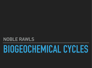 biogeochemical cycle 