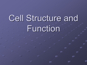 Cell Structure and Function (2)