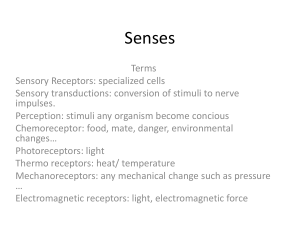 Senses (2)