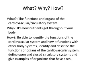 cardiovascular system notes middle school