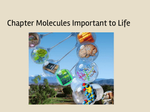 Molecules of Life Notes
