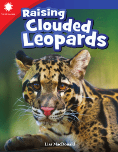 CloudedLeopards G3